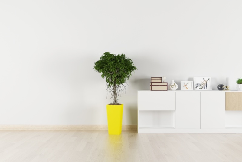 ³¤É³¡°·¿×¡²»³´¡±ÕæÏàµ÷²é£ºÊÕÈëÕÇ·ùÅÜÓ®·¿¼Û£¬³´·¿¿Í×îÞÏÞÎ