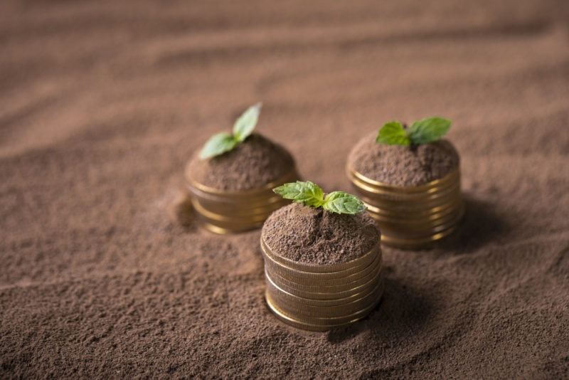 任志强:2015房价会涨