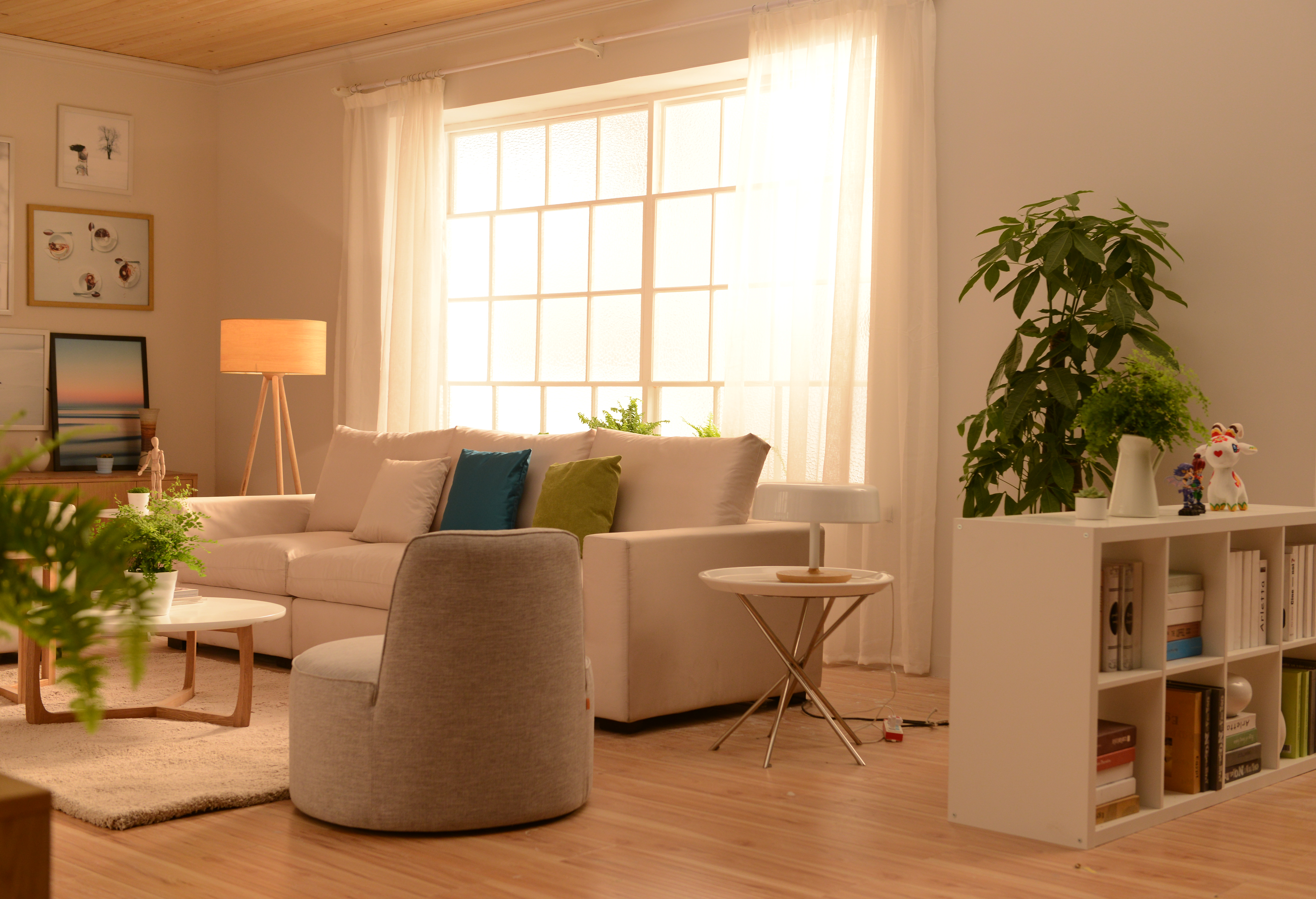越来越多家庭不买沙发了，小户型选这个，空间瞬间放大2倍