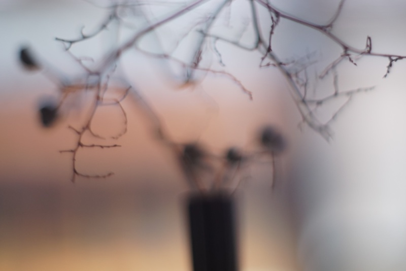 ��������Ч��ͼ��������Ч��ͼ