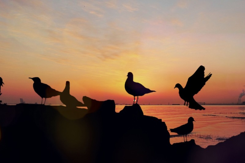 �ϳǰٻ���ҵ���