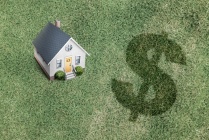 ɽ����ɽ��̲����������ô��,���������ȼپ�����Ͷ�ʼ�ֵ