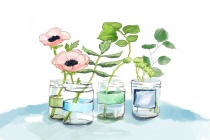 ��������ƿ��̽�ּҾ�װ���еĴ���Ӧ��