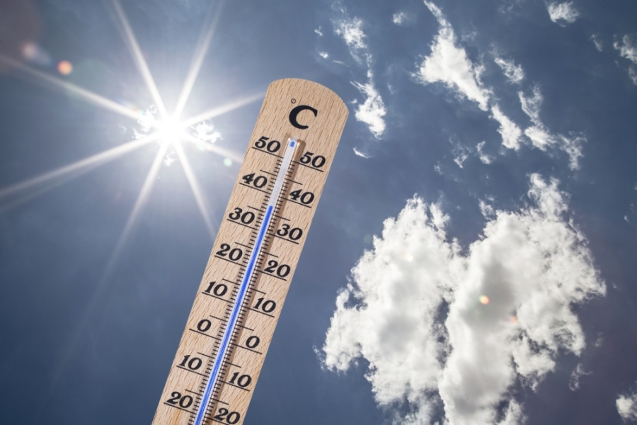 极端高温！郑州路面超72℃，记者现场煎蛋烤虾