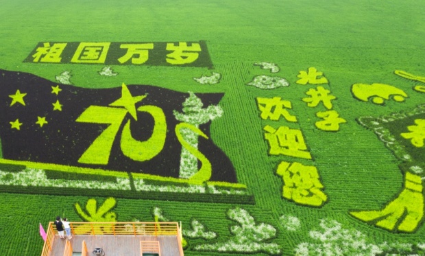 苏州：全域铺开城中村改造，如何平衡改造与生态保护？